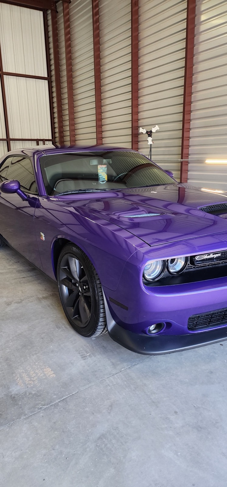 Vinyl Wraps & Graphics in Shallowater, TX